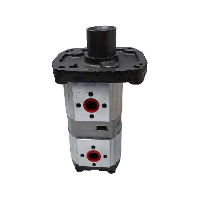 Bomba Dupla New Holland TL75E Motor MWM