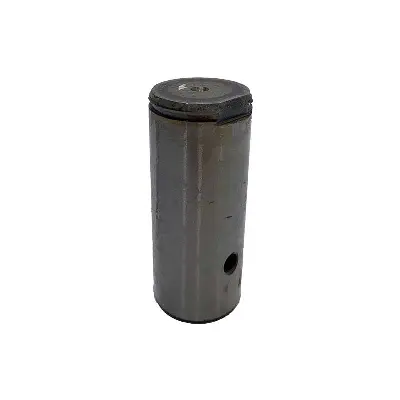 Pino Planetária W20E/55C
